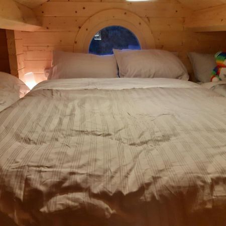 Springbank Cabin Insch Ngoại thất bức ảnh